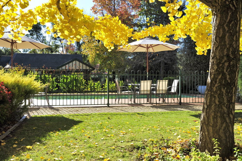 The Birch House - Silver Birches Accommodation Bright Bagian luar foto