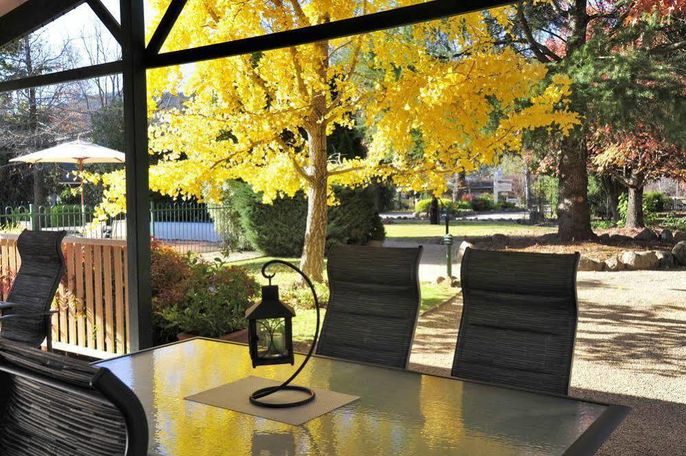 The Birch House - Silver Birches Accommodation Bright Bagian luar foto