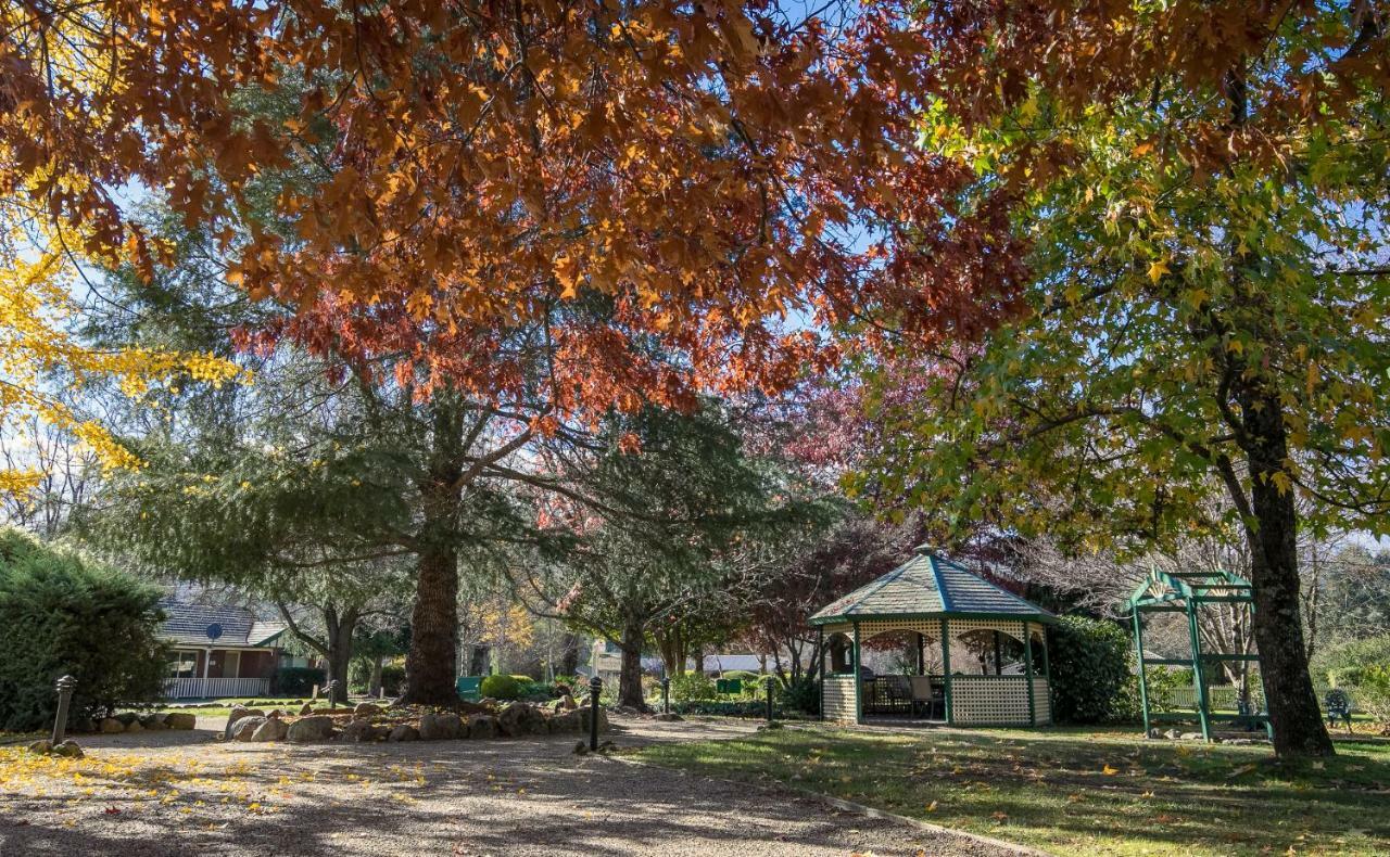 The Birch House - Silver Birches Accommodation Bright Bagian luar foto