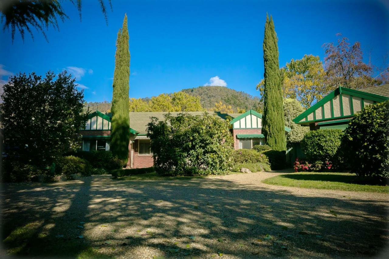 The Birch House - Silver Birches Accommodation Bright Bagian luar foto