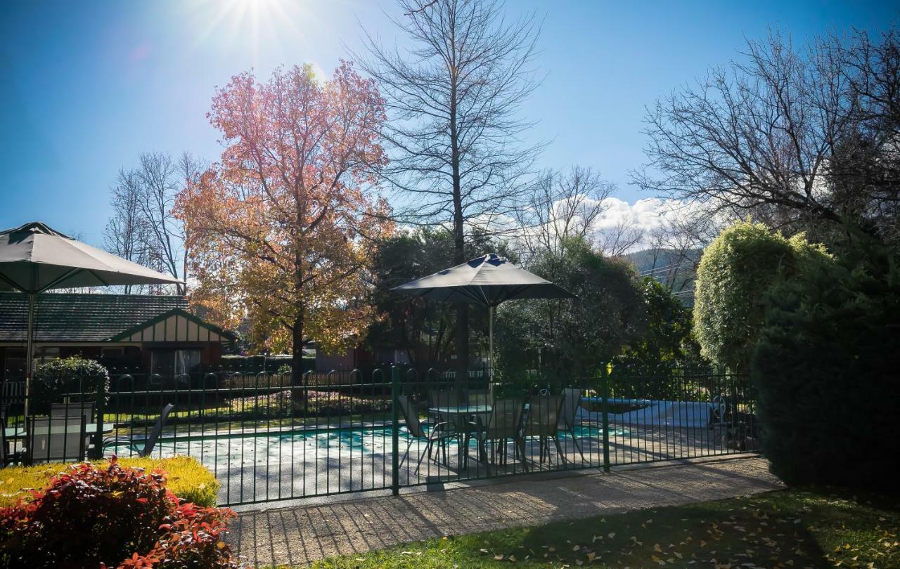 The Birch House - Silver Birches Accommodation Bright Bagian luar foto