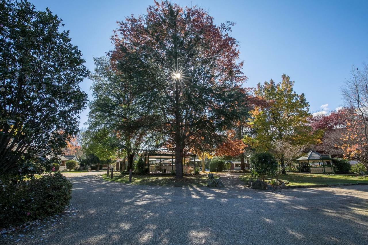 The Birch House - Silver Birches Accommodation Bright Bagian luar foto